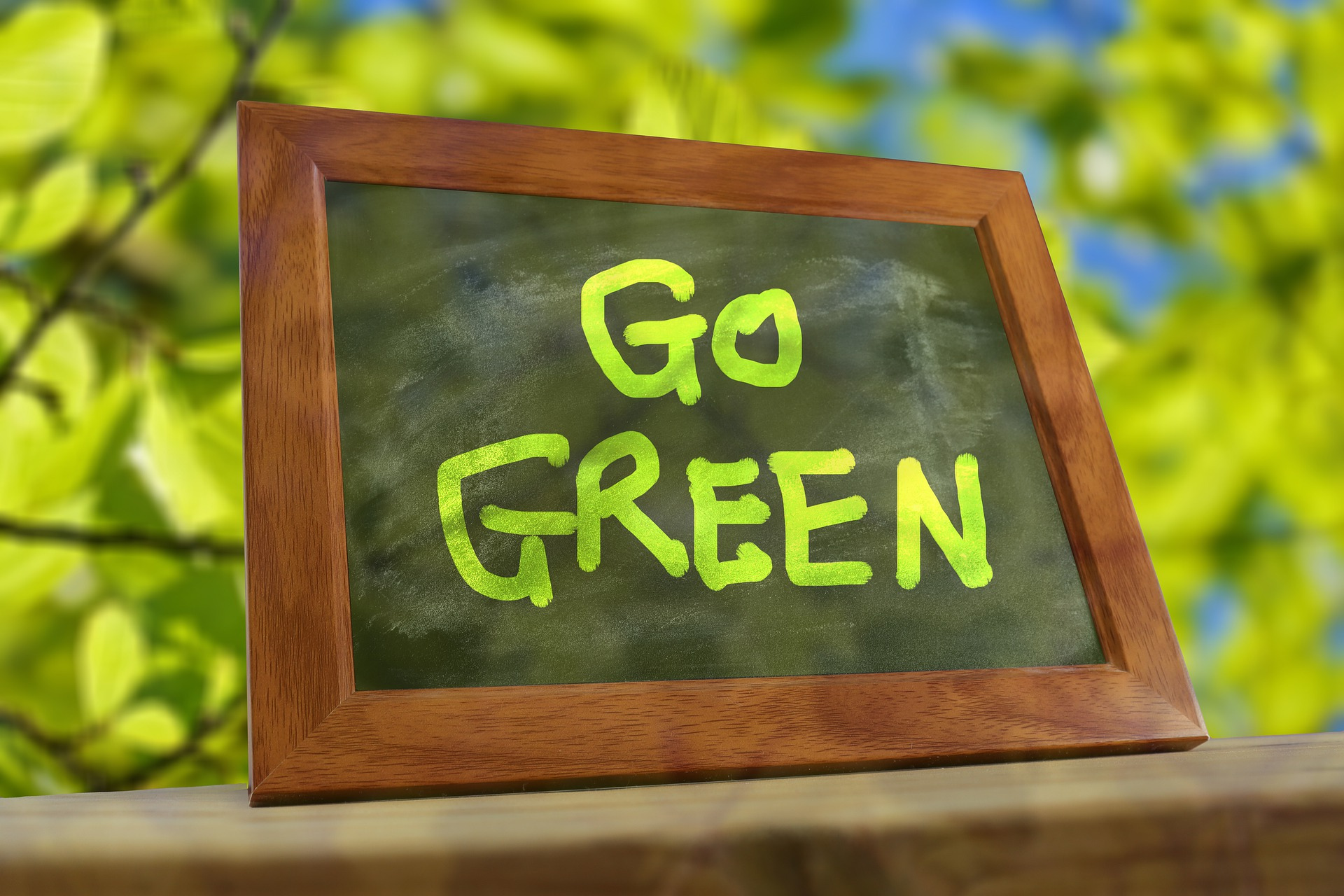 Go Green Electrical Vehicles