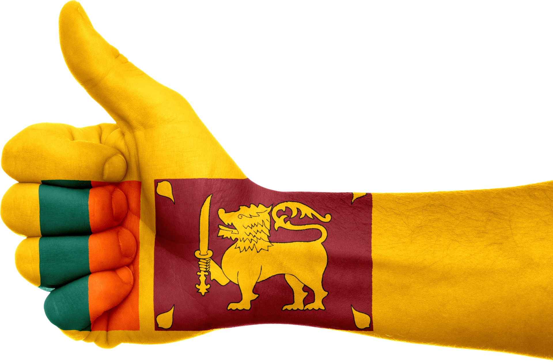 Electrical Vehicles in Sri Lanka