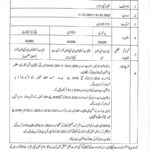 School Teacher Interns