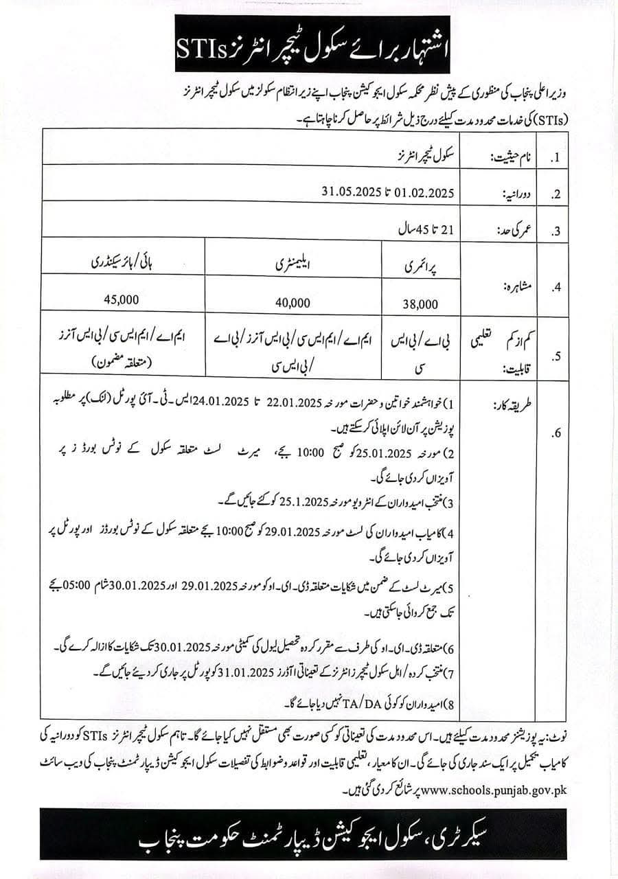 School Teacher Interns