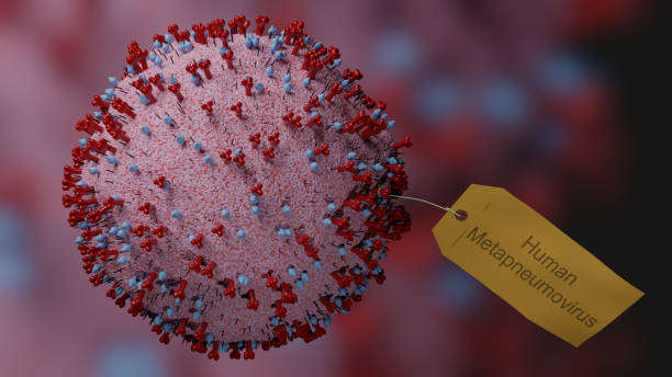 A New Virus in China