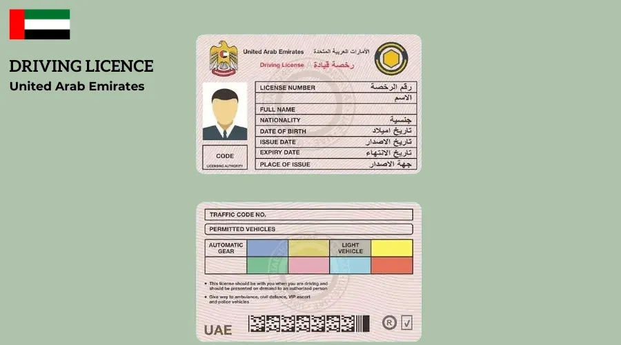 Driving License Fees in Dubai: Complete Guide with Procedure