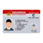 Driving License in Indonesia