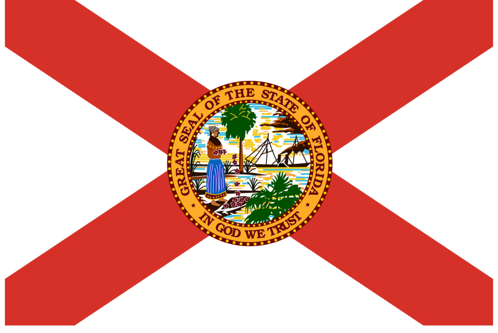 Flooded Electric Vehicles in Florida