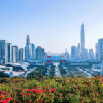 Electric Vehicles in Shenzhen