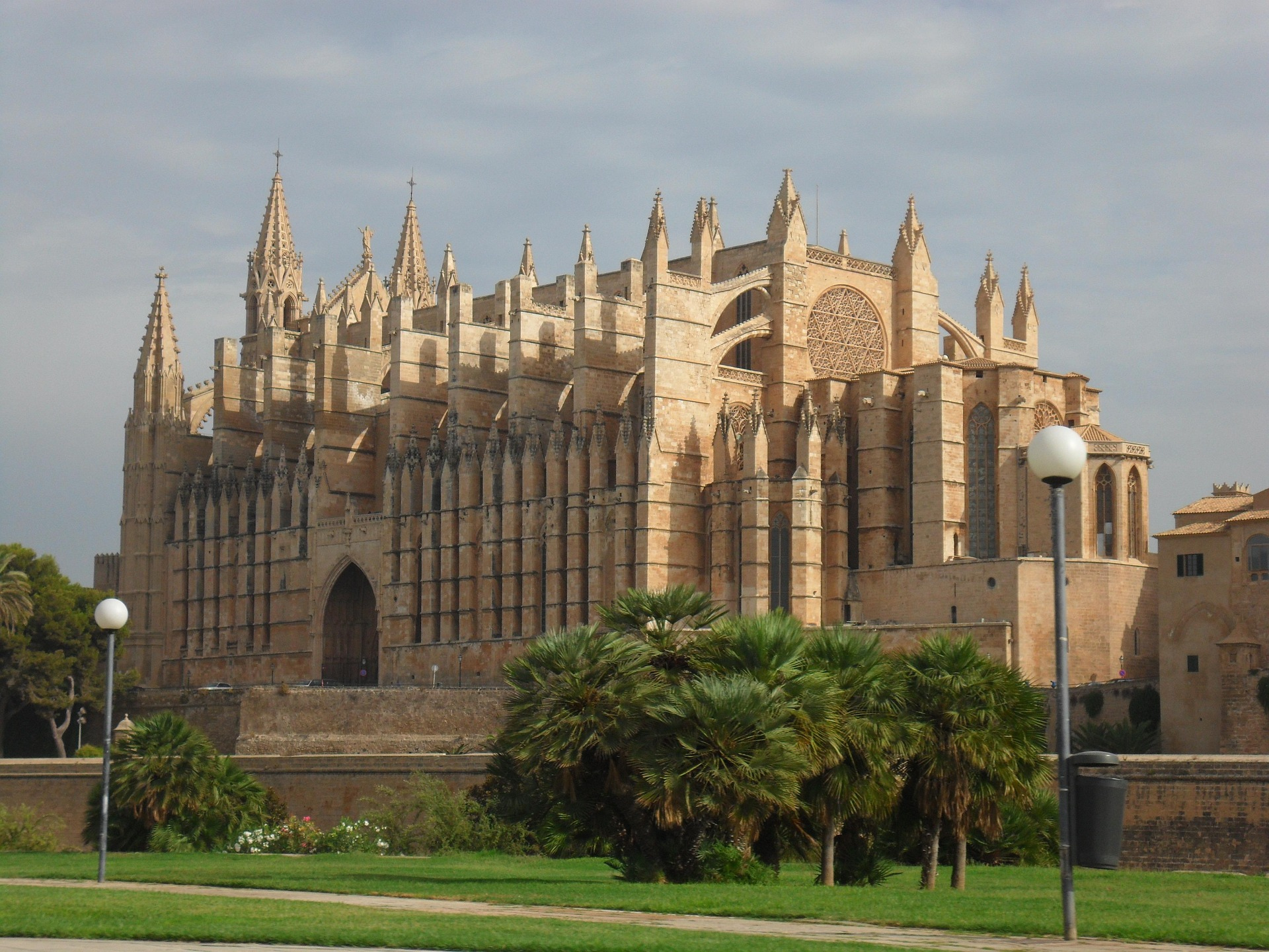 Electric Vehicles in Palma